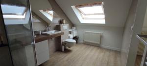 a bathroom with skylights and a toilet and a sink at Domaine du D-DAY in Saint-Côme-du-Mont +30 photos