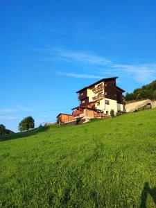 a building sitting on top of a green field at Pensiunea Daria in Fundata