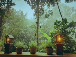 a view of a forest from a window with lights at Summer Villa Ella in Ella