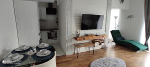 Televízia a/alebo spoločenská miestnosť v ubytovaní Panoráma Gold Wellness Apartman