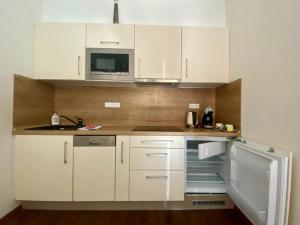 Kuchyň nebo kuchyňský kout v ubytování Útulný apartmán u Mumlavských vodopádů