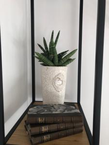 una planta en un jarrón sentado en un estante con una pila de libros en Ett rum & kök, en Bålsta