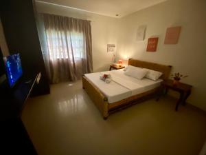 a bedroom with a bed and a television in it at Hiraya Bed and Breakfast in Roxas City