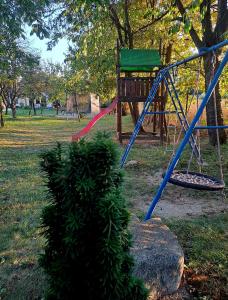 a playground in a park with a swing at Pensiunea Casa Noastra in Baia de Fier