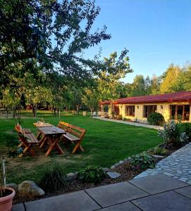 a picnic table in a yard next to a house at Pensiunea Casa Noastra in Baia de Fier