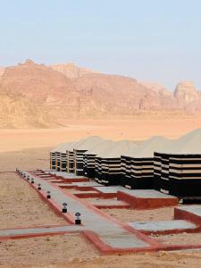 Gallery image of Discover the life of Wadi Rum in Wadi Rum