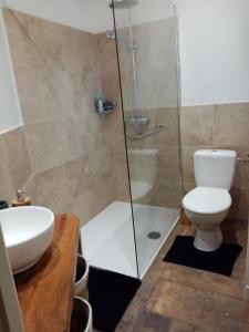 a bathroom with a toilet and a glass shower at Maison en plein cœur de ville à Montmorillon in Montmorillon