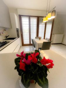 un vase avec des fleurs rouges sur un comptoir dans une cuisine dans l'établissement Guest House Isabel Pinto, à Santa Maria di Sala