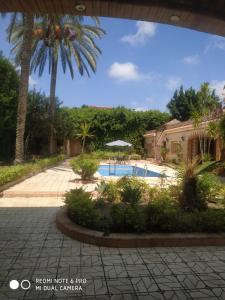 a swimming pool with a palm tree and a house at VillaJouda in Alexandria