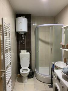 ein Bad mit einer Dusche, einem WC und einem Waschbecken in der Unterkunft Stan na dan Pepi Lukavica, Sarajevo in Donje Mladice
