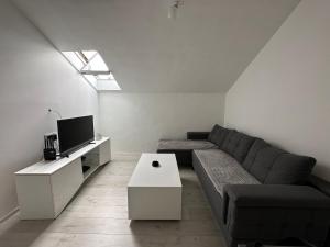 salon z kanapą i telewizorem w obiekcie Apartment Stari Aerodrom w mieście Podgorica
