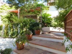 a garden with potted plants on the steps of a house at Chez Marie in Carry-le-Rouet