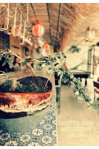 una pianta in un vaso seduta su un tavolo di Hostel and Music Bar Bros a Pai