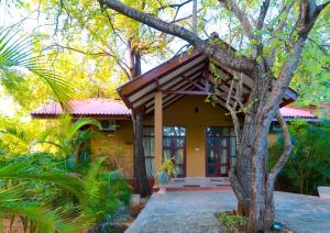 Zahrada ubytování Safari Lodge Yala