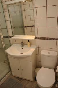 a bathroom with a toilet and a sink and a mirror at Mercedes (E): Campo y playa. in Breña Baja