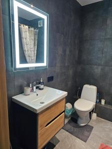 a bathroom with a sink and a toilet and a mirror at Premium apartments 2 in Lviv +17 photos