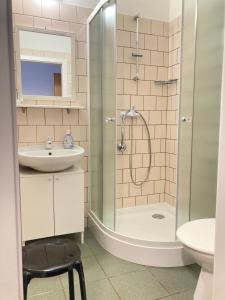 W łazience znajduje się prysznic, umywalka i toaleta. w obiekcie Guesthouse Mikuláš Mikulov - free parking in the city center w mieście Mikulov