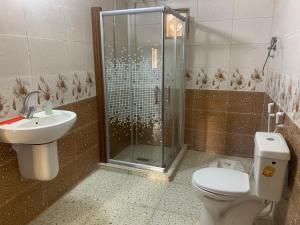 a bathroom with a shower and a toilet and a sink at Bedouin Panorama House in Wadi Musa