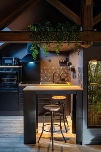 a kitchen with a counter with two stools and plants at Cosy Loft near Geneva with Wi-Fi and Netflix in Ornex