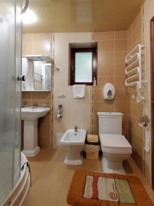 a bathroom with a toilet and a sink and a mirror at Elf-cottage in Tur'ya Pasika