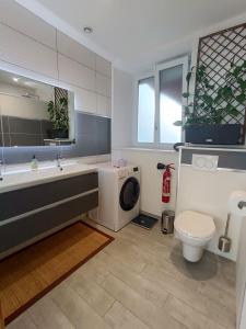 een badkamer met een wastafel, een toilet en een wasmachine bij Spacieux loft de 105 m² en hyper centre d'Epinal in Épinal