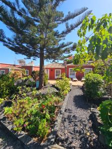 a garden in front of a house with a tree at Corral de Payo El Lagar in Breña Baja