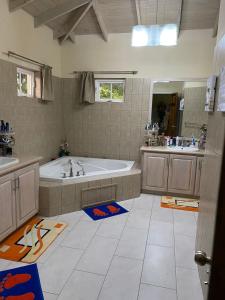 a large bathroom with a tub and a sink at Sweet Home Grenada Caribbean in Lance aux Épines
