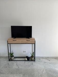 a television on a stand with two potted plants at Lac 2 apartement in Tunis
