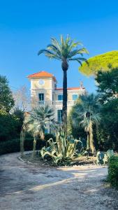 a palm tree in front of a house at Villa Jacqueline in La Seyne-sur-Mer