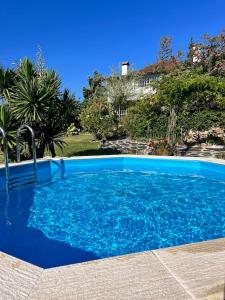a large blue swimming pool in front of a house at Atlantic Nest Poiares in Vila Nova de Poiares