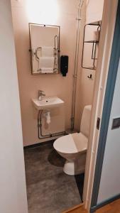 uma casa de banho com um WC, um lavatório e um espelho. em Edsbyns Hotell em Edsbyn