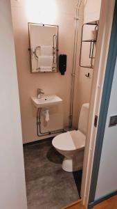 a bathroom with a toilet and a sink and a mirror at Edsbyns Hotell in Edsbyn +20 photos