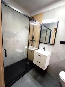 a bathroom with a glass shower and a sink at AlfaHome Lodz in Łódź