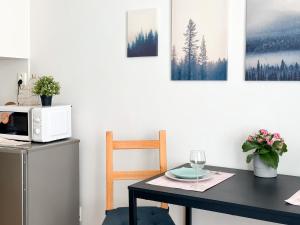 Kuchyň nebo kuchyňský kout v ubytování ELSO apartments