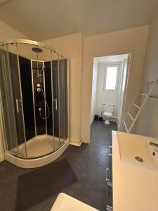 a bathroom with a shower and a toilet at Appartement centre d Arcis in Arcis-sur-Aube