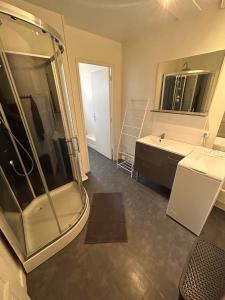 a bathroom with a shower and a sink at Appartement centre d Arcis in Arcis-sur-Aube