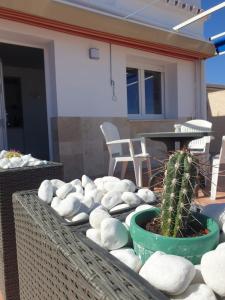 un cactus in una pentola seduto su un patio di REYNURBAN a Castillo de Sabinillas