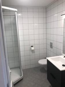 a bathroom with a shower and a toilet and a sink at Leilighet i Oppdal - 4 soverom, 2 stuer og 2 bad in Oppdal