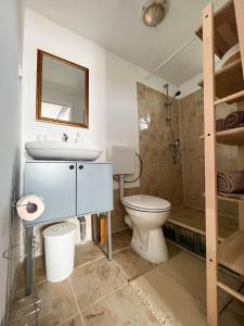 a bathroom with a toilet and a sink and a shower at Green Hills Sibiu in Sibiu
