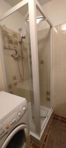 a washing machine in a bathroom with a shower at Appartamento IL QUADRIFOGLIO in Saint-Oyen