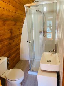a bathroom with a shower and a toilet and a sink at Gallas Pod House in Vouzela