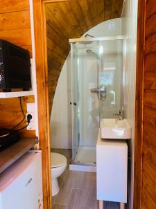a bathroom with a shower and a sink and a toilet at Gallas Pod House in Vouzela