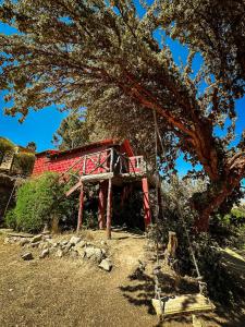 une structure rouge assise sous un arbre avec une balançoire dans l'établissement Hostal Sol y Lago, à Copacabana