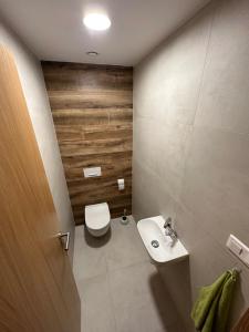 Koupelna v ubytování Apartmán Ski & Bike - Protěž + 19 fotografií