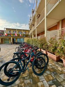 Jízda na kole v ubytování Hotel Bella Lazise nebo okolí
