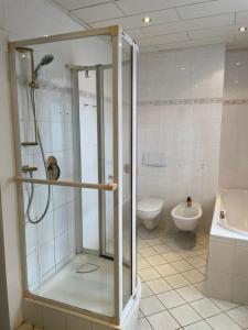 a bathroom with a shower and a toilet at Pension zum Landhaus 