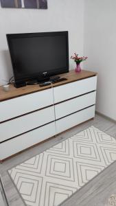 TV a/nebo společenská místnost v ubytování Apartman Bogdanovic