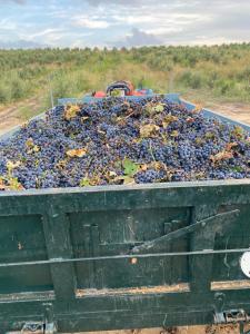 Fotografia z galérie ubytovania FINCA VALDELAJARA a 20 minutos de Puy du Fou v destinácii Toledo
