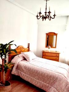 a bedroom with a bed and a mirror and a plant at Libertad, 1 in Zamora