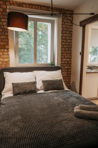 1 dormitorio con 1 cama grande y ventana en Niron Apartament Kapucyńska en Piła